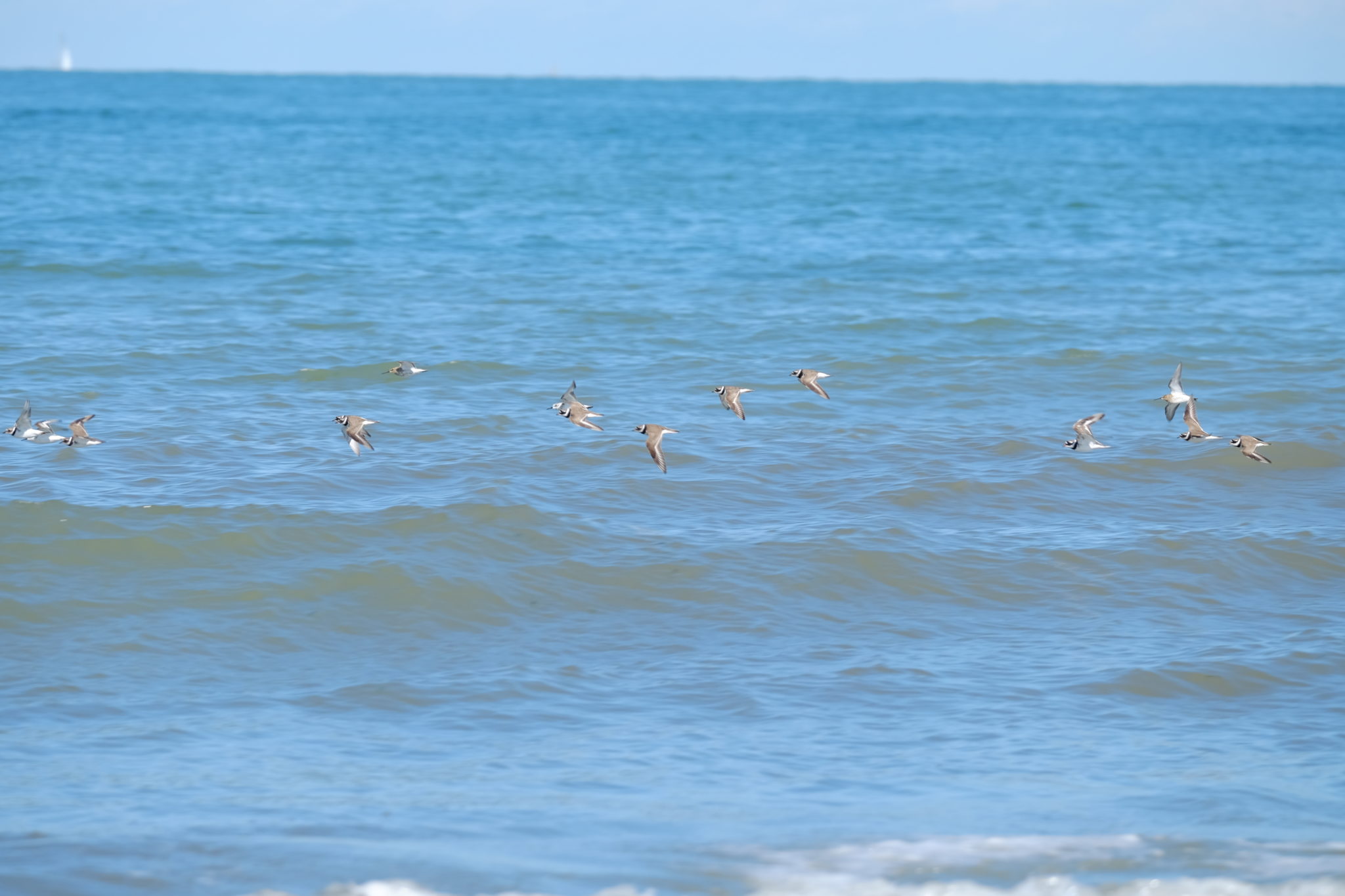 [Titre du site] La côte d'Opale